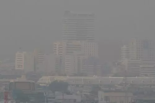 Как избавиться от запаха гари в квартире во время лесных пожаров