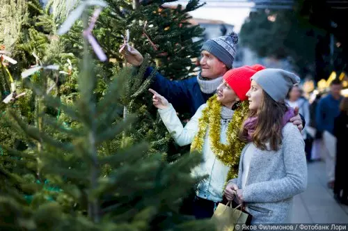 Как выбрать новогоднюю елку