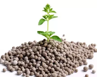 Нитроаммофос NPK 16:16:16