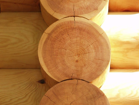 Составы для отбеливания древесины