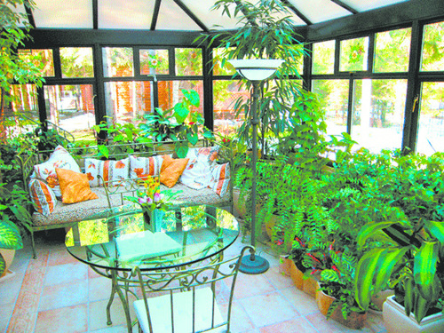 Оранжерея – зимний дом для растений